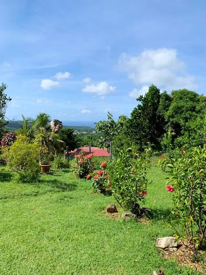 Charmante Maison A Riviere-Salee Avec Jardin Privatif 0*,