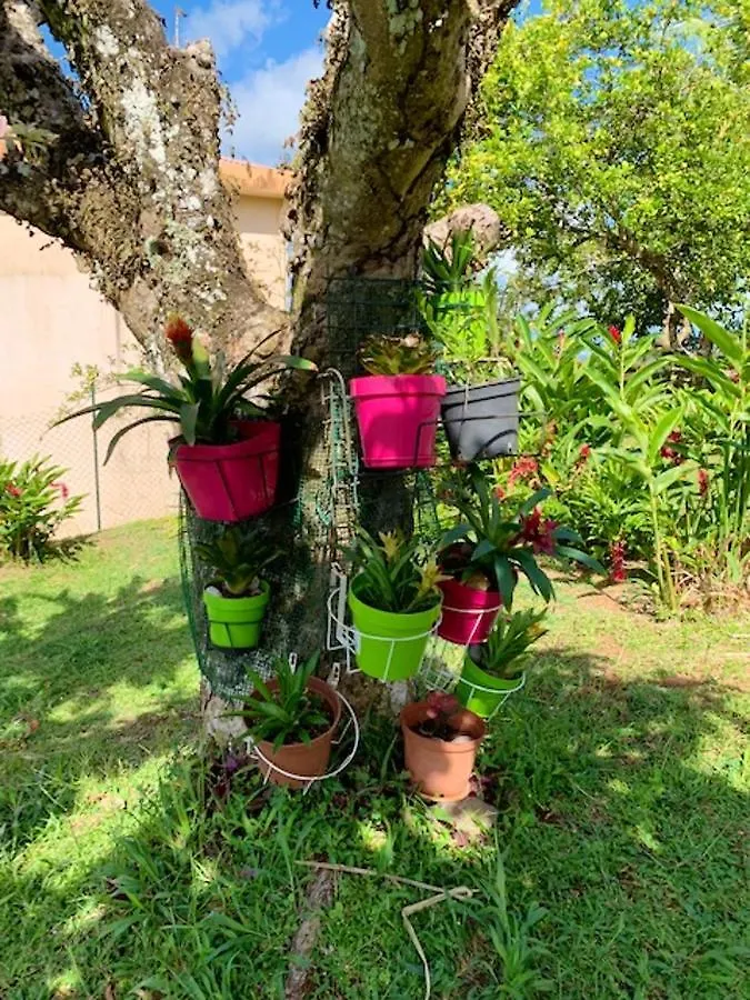 Charmante Maison A Riviere-Salee Avec Jardin Privatif Casa de Férias